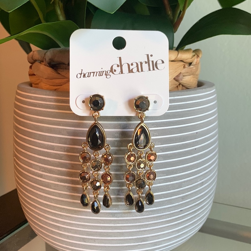 Charming Charlie Fashion Earrings